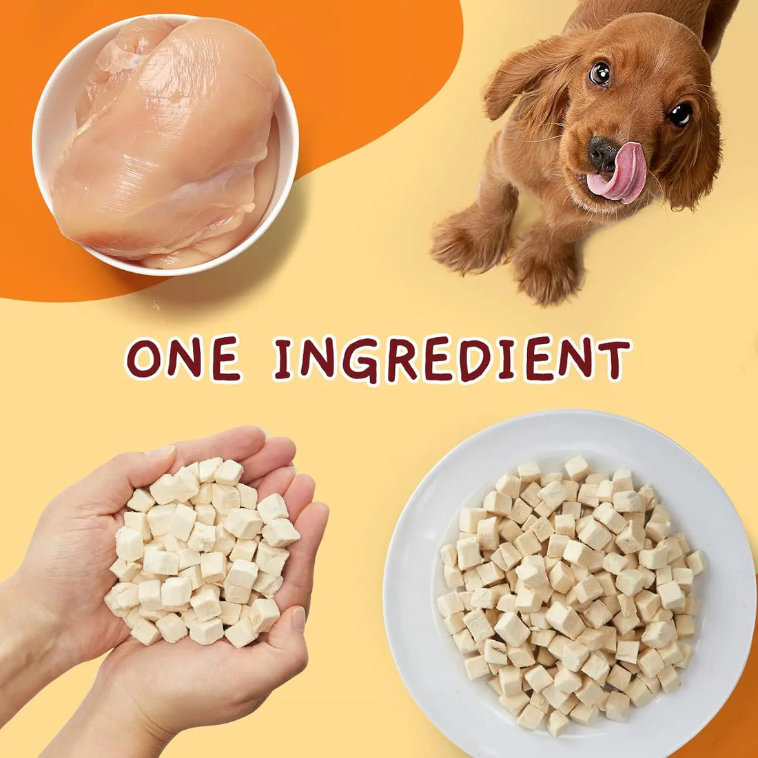 Freeze-Dried Chicken Treats for Dogs & Cats, Single Ingredient Protein Pet Snacks