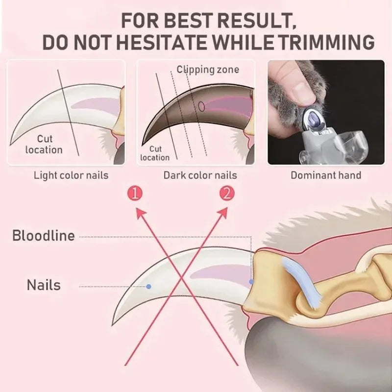 Dog Nail Clipper with LED Light for Precise Cutting, Stainless Steel Home Grooming