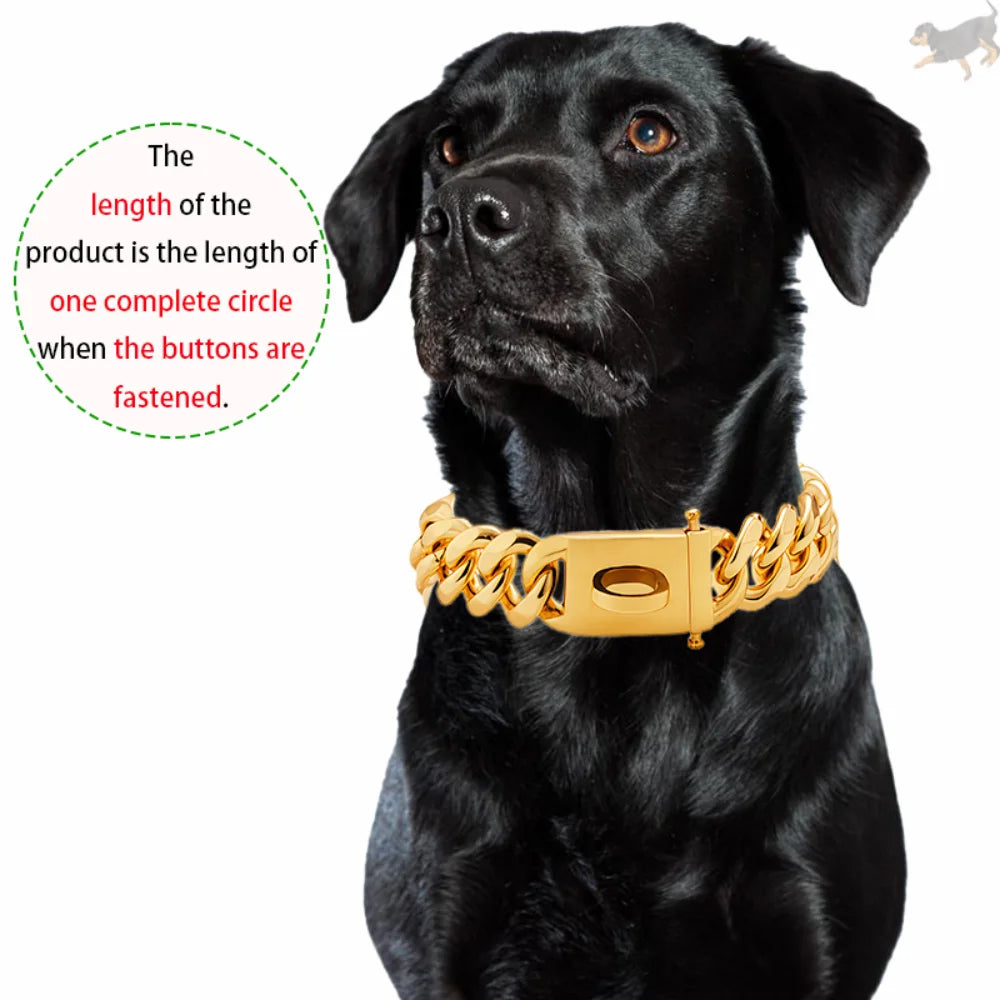 Gold Dog Collar Stainless Steel Metal Pet Choker Silver 19mm Wide Lead for Dogs