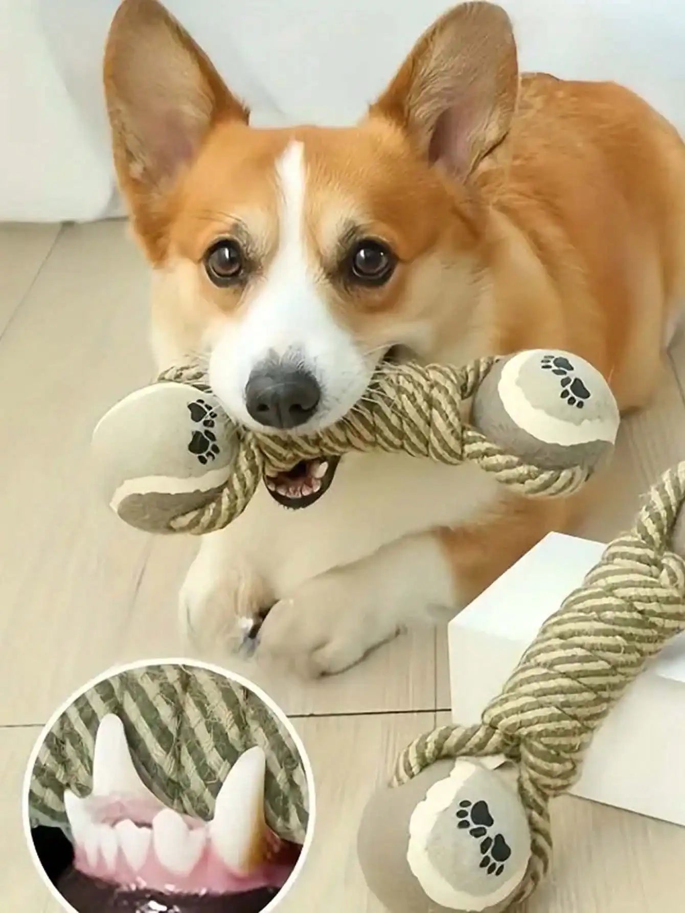Teeth cleaning pet toy, dog chew durable toy, cat and dog teeth cleaning supplies