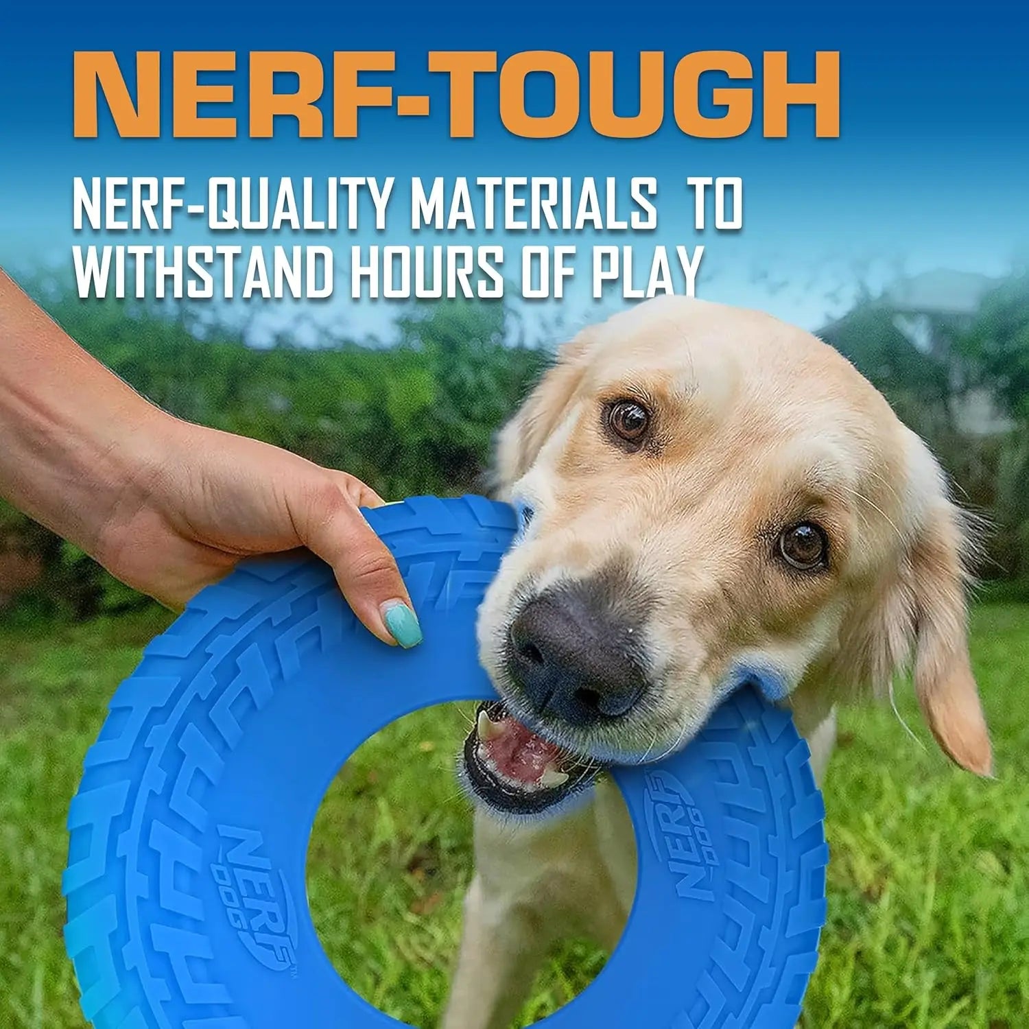 10-Inch Flying Disc Dog Toy, Rubber Fetch Toy for Medium and Large Dogs