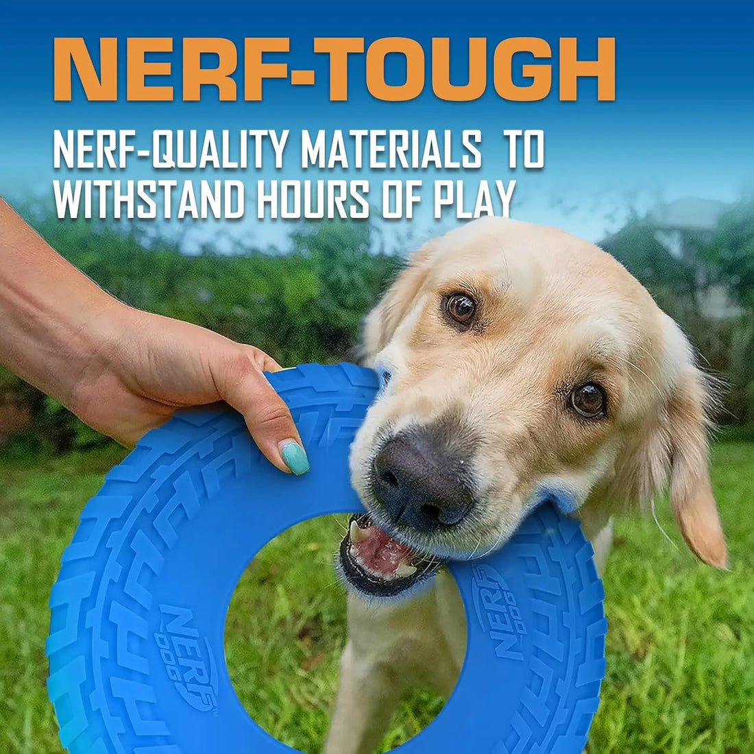 10-Inch Flying Disc Dog Toy, Rubber Fetch Toy for Medium and Large Dogs