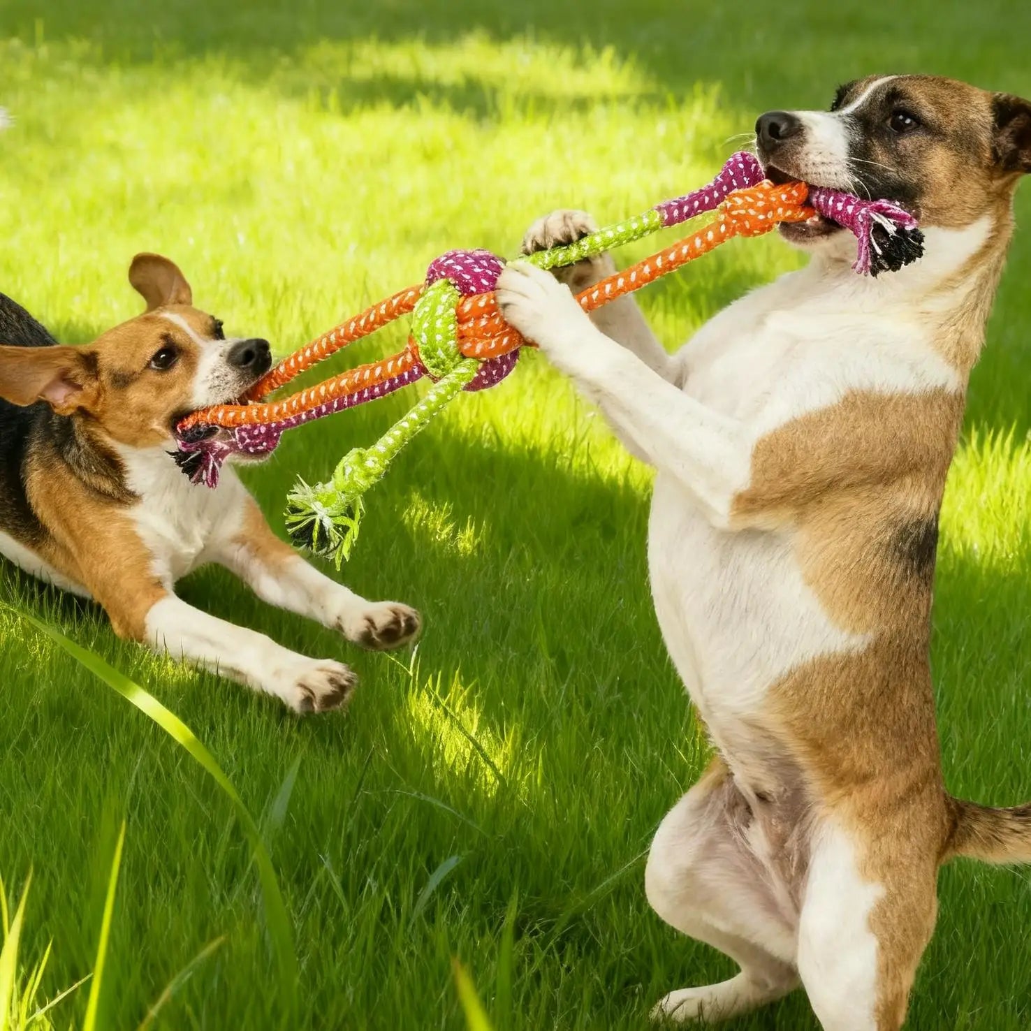 1pc Durable Bite Resistant Interactive Knot Toy for Chewable Rope Dog Toys
