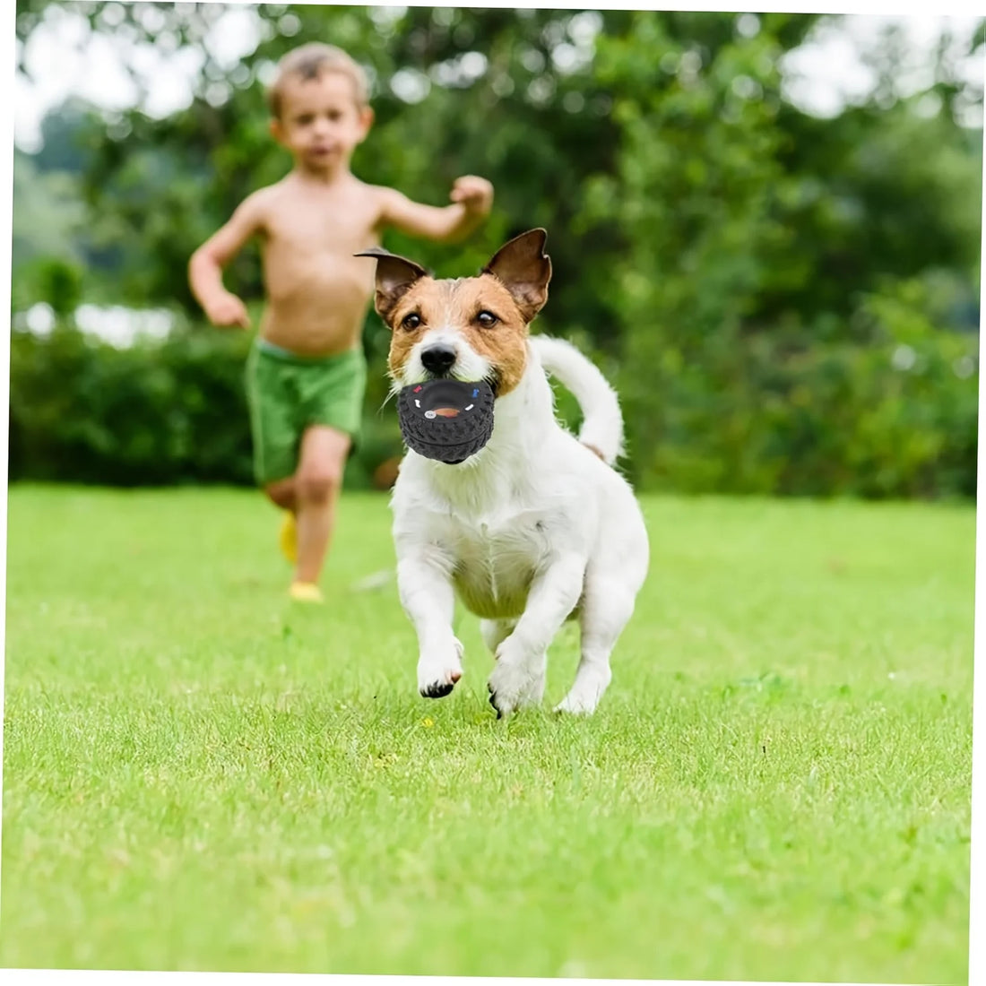Puppy Teeth Training Toy Durable Dog Chew Wheel Interactive Sound Toy Chew