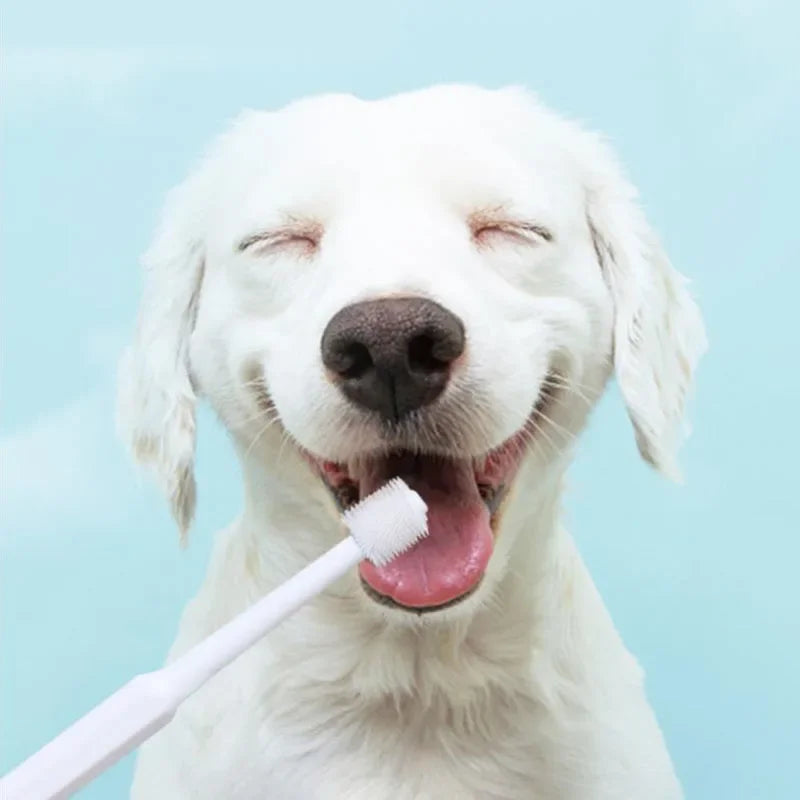 Tooth Brush For Pet Dog Cat Plastic Healthy Toothbrush Mouth Cleaning Pet