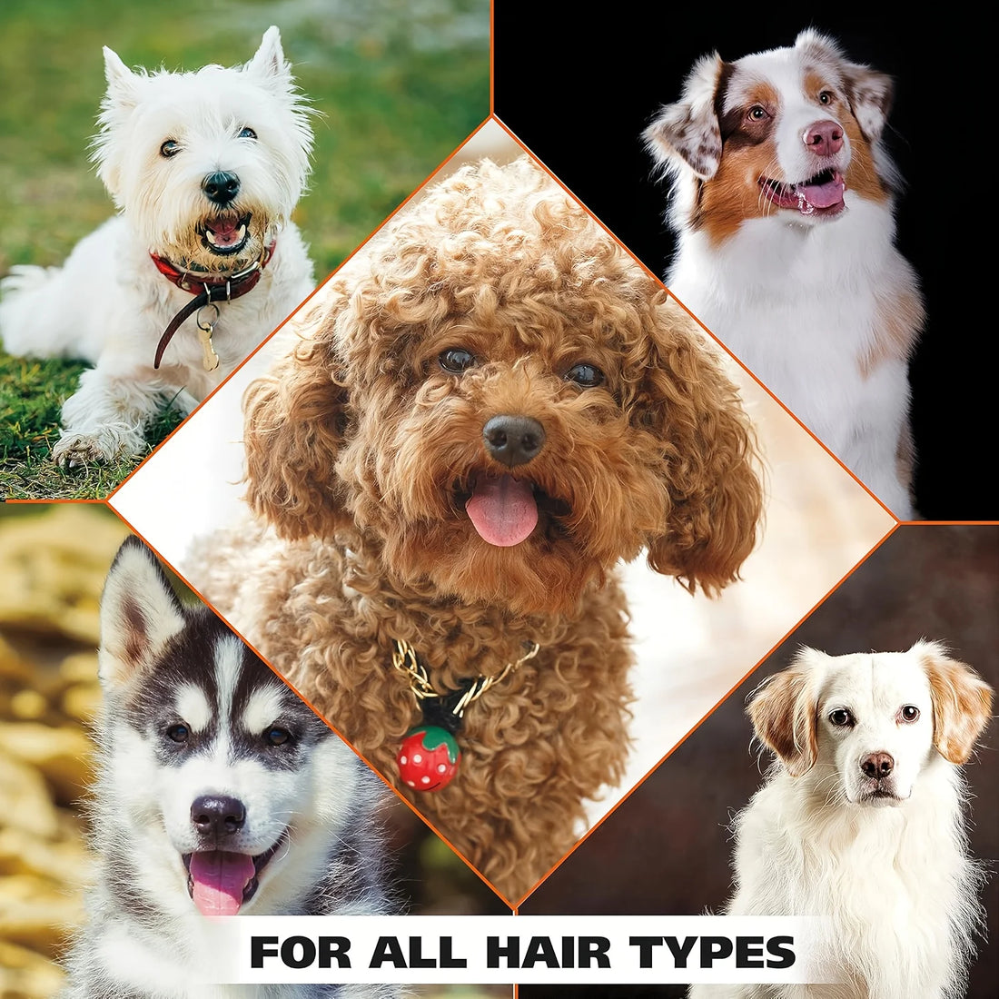 Pet Bath Gel,Pet Shampoo,Cat and Dog Bath Gel,Gentle Soothing Dogs Care
