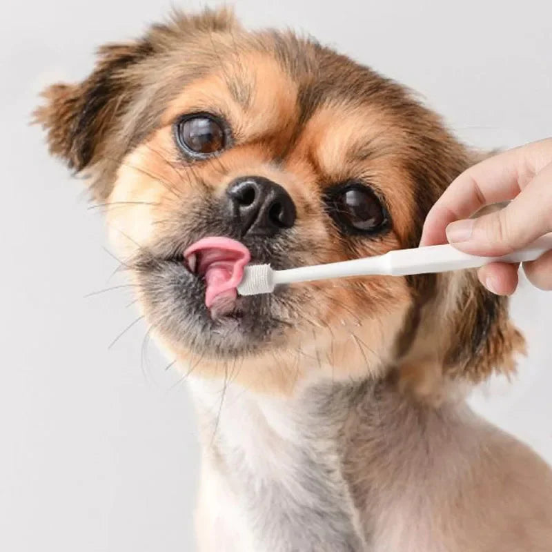 Tooth Brush For Pet Dog Cat Plastic Healthy Toothbrush Mouth Cleaning Pet