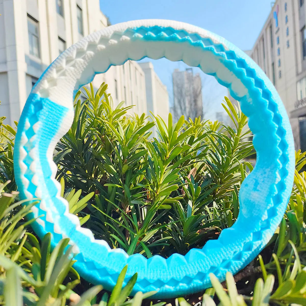 Pet dog rubber bite ring, bite resistant grinding training interactive small dogs