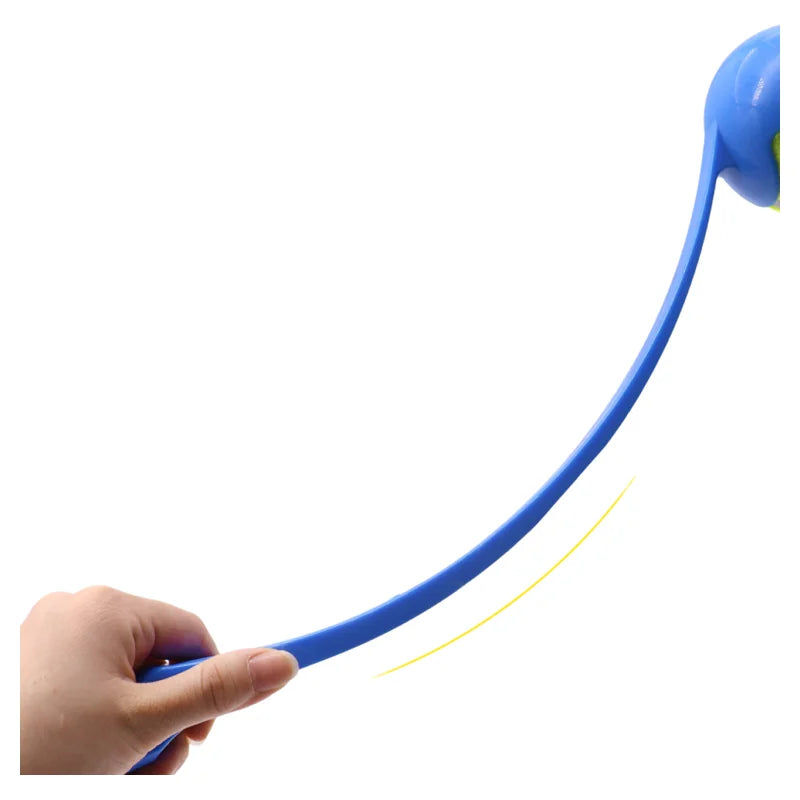Pet Throwing Stick Toy Interactive Ball for Dogs Cats Training Fetch Game