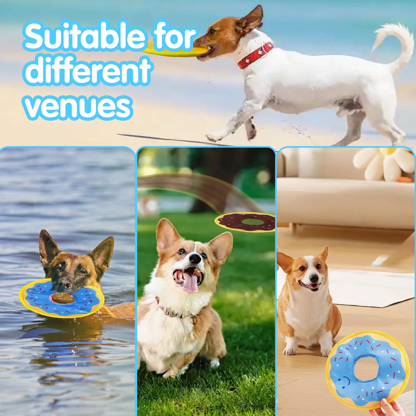 Dog donuts, noisy paper toys, outdoor interactive, squeaking sound dogs