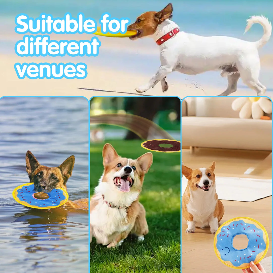 Dog donuts, noisy paper toys, outdoor interactive, squeaking sound dogs
