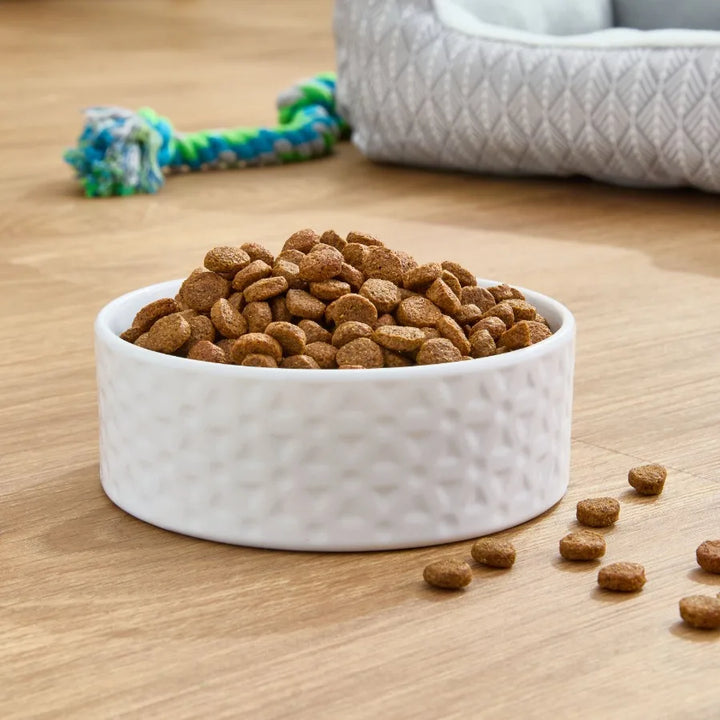 Wild Free Grain-Free Salmon Pea Recipe Dry Dog Food 24 lbs Ideal for Active Dogs