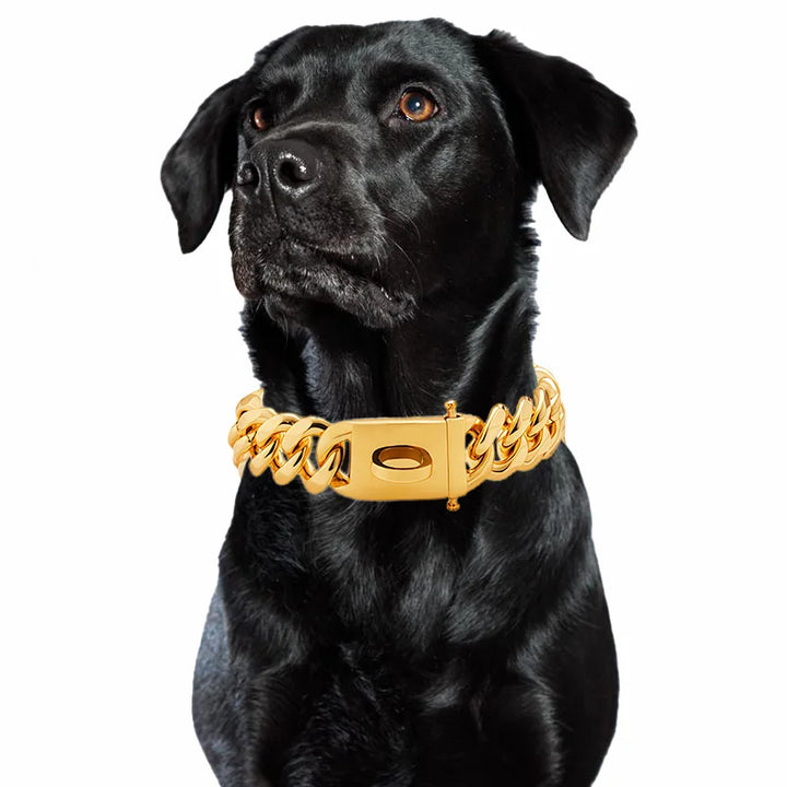 Gold Dog Collar Stainless Steel Metal Pet Choker Silver 19mm Wide Lead for Dogs