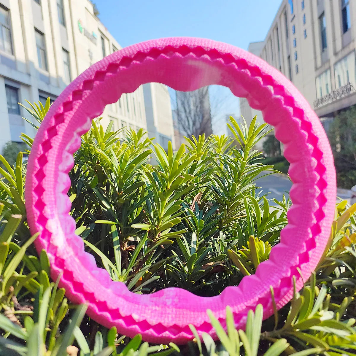 Pet dog rubber bite ring, bite resistant grinding training interactive small dogs
