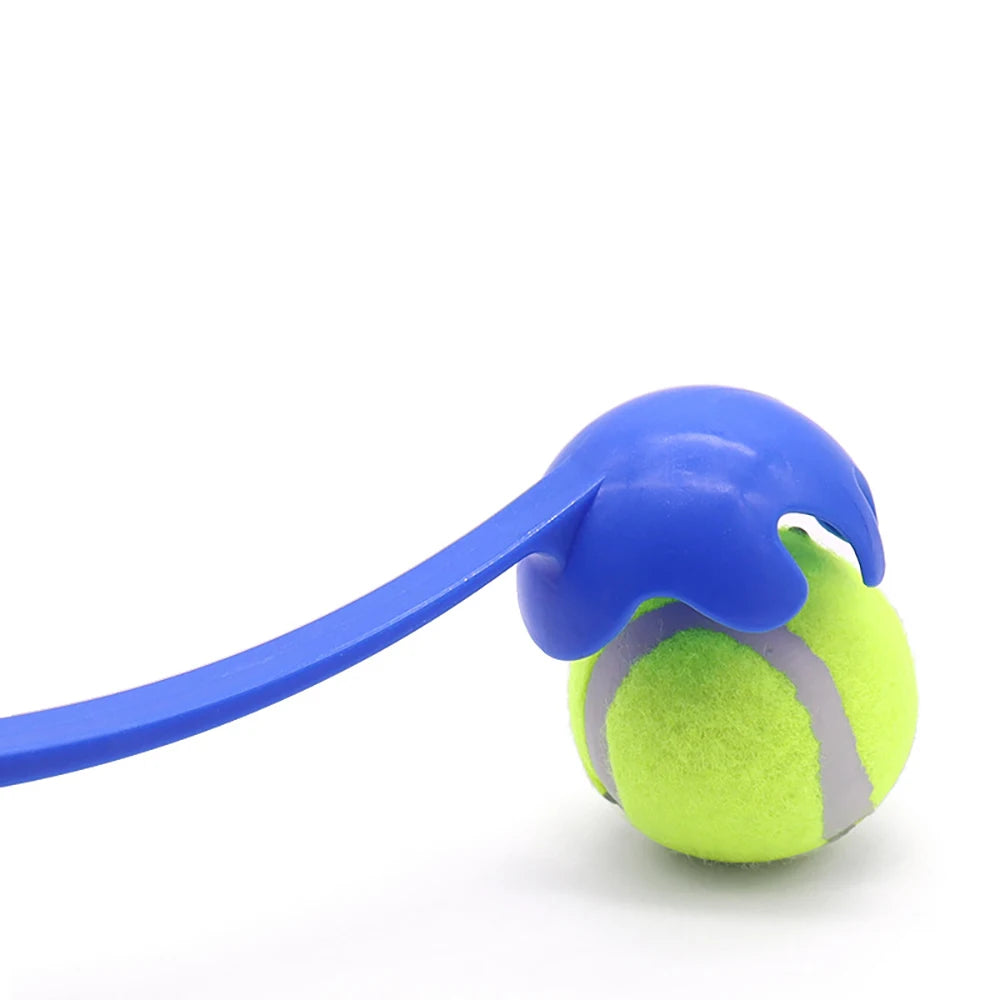 Pet Throwing Stick Toy Interactive Ball for Dogs Cats Training Fetch Game