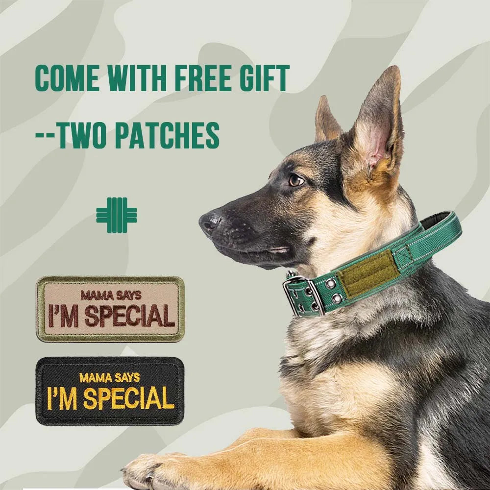 Heavy Duty Double Buckle Design Tactical Dog Collar - Military Grade Dog Collar