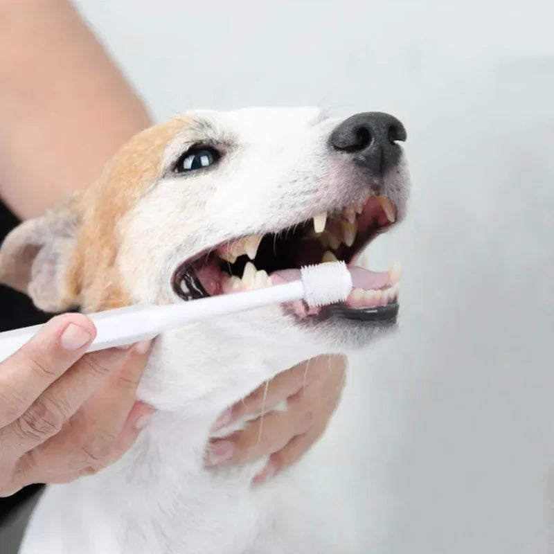 Tooth Brush For Pet Dog Cat Plastic Healthy Toothbrush Mouth Cleaning Pet
