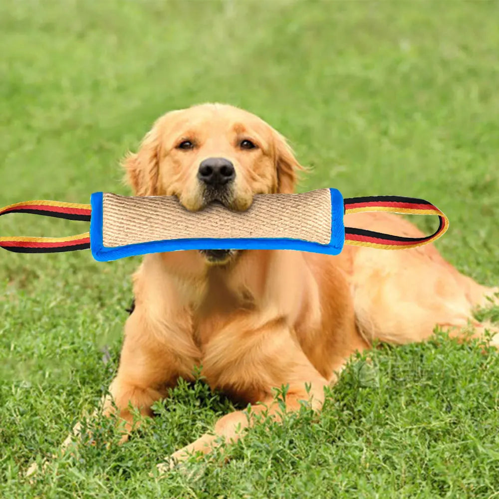 Heavy Duty Dog Chewing Stick for Bite Resistance Training Fun Pet Behavior