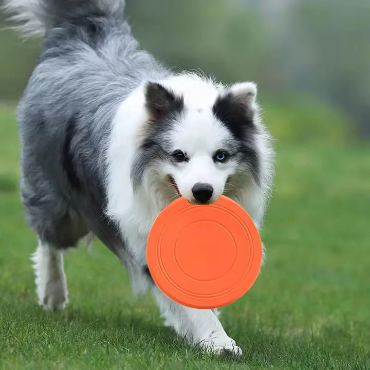 Durable Chewable Pet Training Frisbee Toy Tear Resistant Soft Rubber Flying Fetch