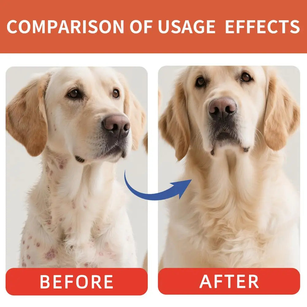 1/2/3PCS Bacon Taste Pet Mushroom Powder Natural High-Grade Dogs Daily