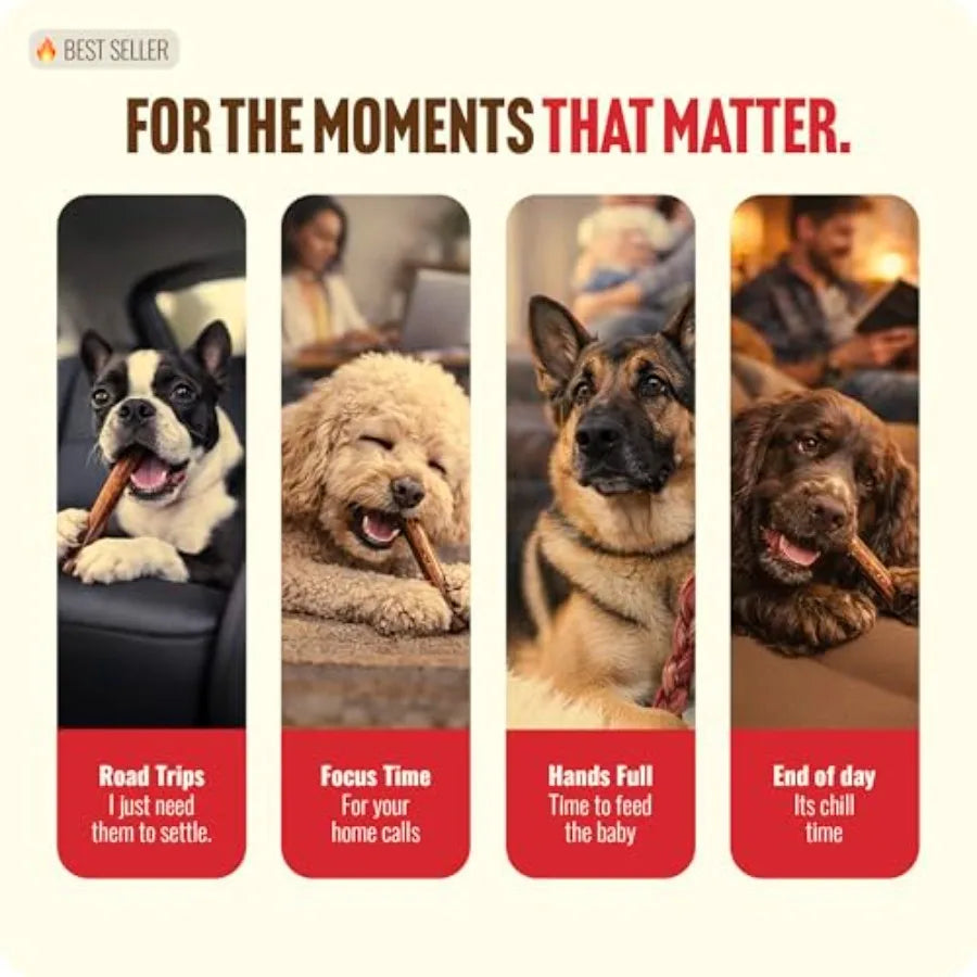 Odor Free Bully Sticks 4 Inch 25 Pack for Small and Medium Dogs - 100% Beef