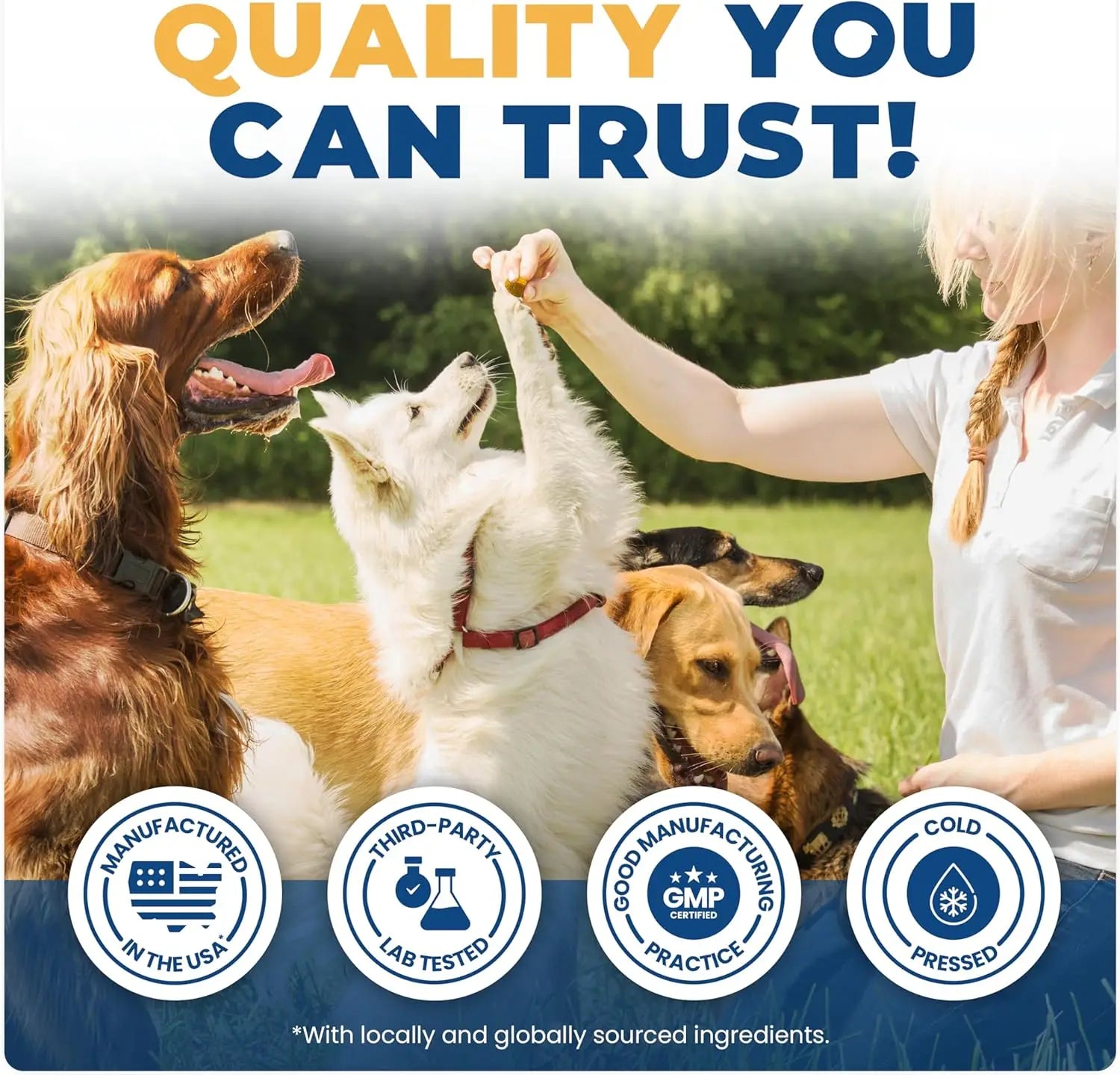 50 Counts Hip & Joint Supplement for Dogs Joint Chews Collagen Health