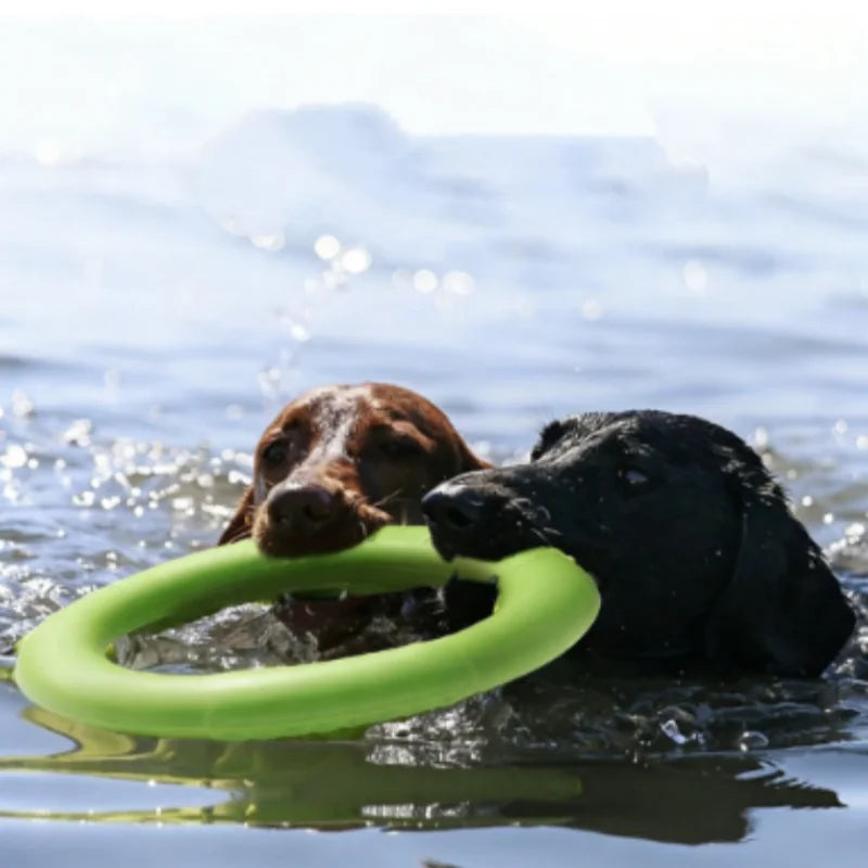 Dog Ring Toys Indestructible Chewing Flying Floating Training Tools Fetch