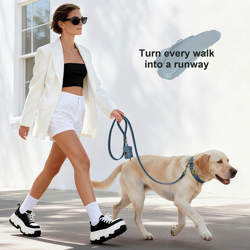 Custom Dog Collar Leash Bag Set Personalized PU Leather Dog Collars