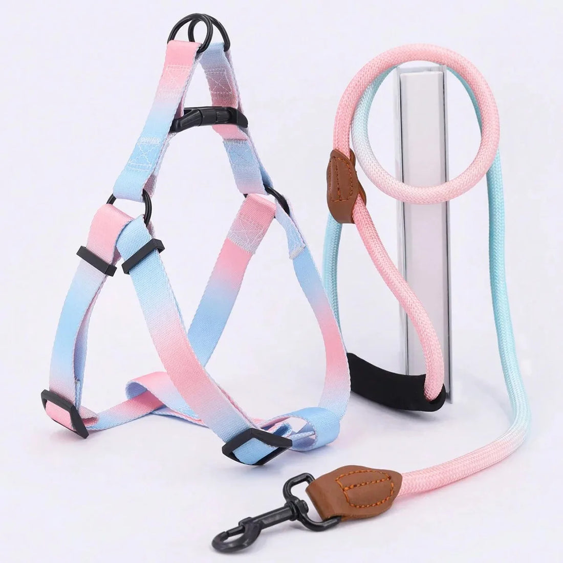 Dog Harness for Dogs Small Dog Leash Pet Supplies Puppy Accessories Collars