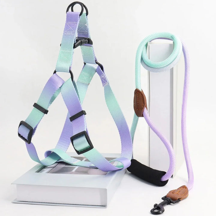 Dog Harness for Dogs Small Dog Leash Pet Supplies Puppy Accessories Collars