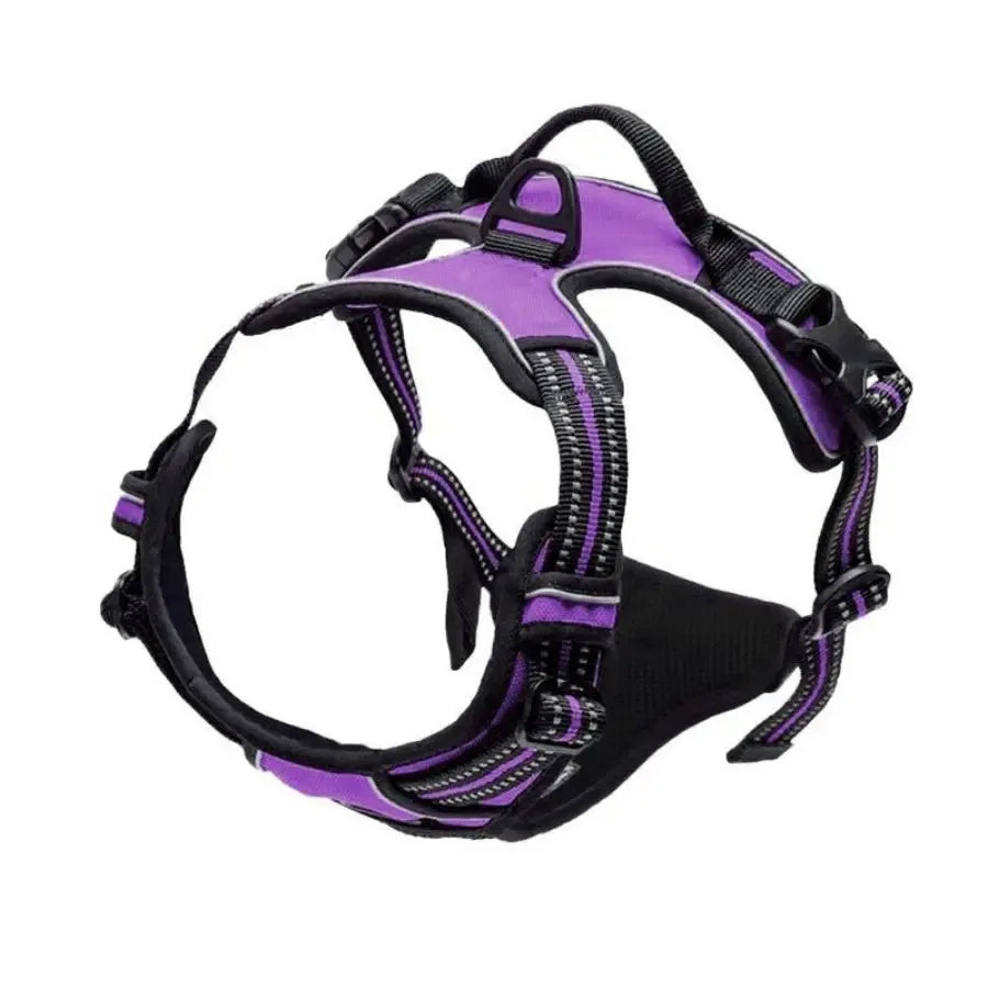 Dog Collars Harness Big Vests Leash Pet Shop Everything for Dogs Leather Puppy