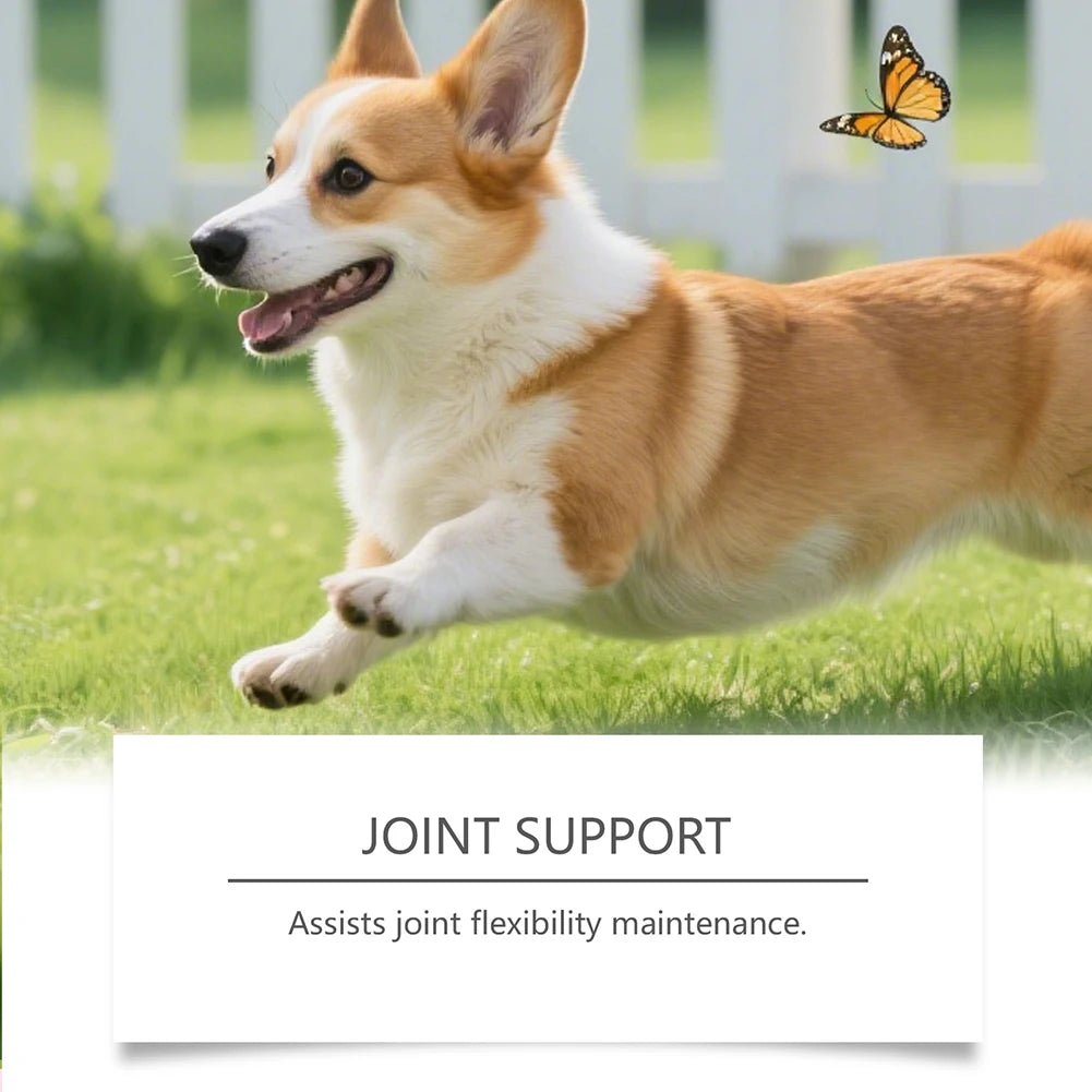 200g Organic-Turmeric Soft Chews For Dogs Absorption Natural  Supplement