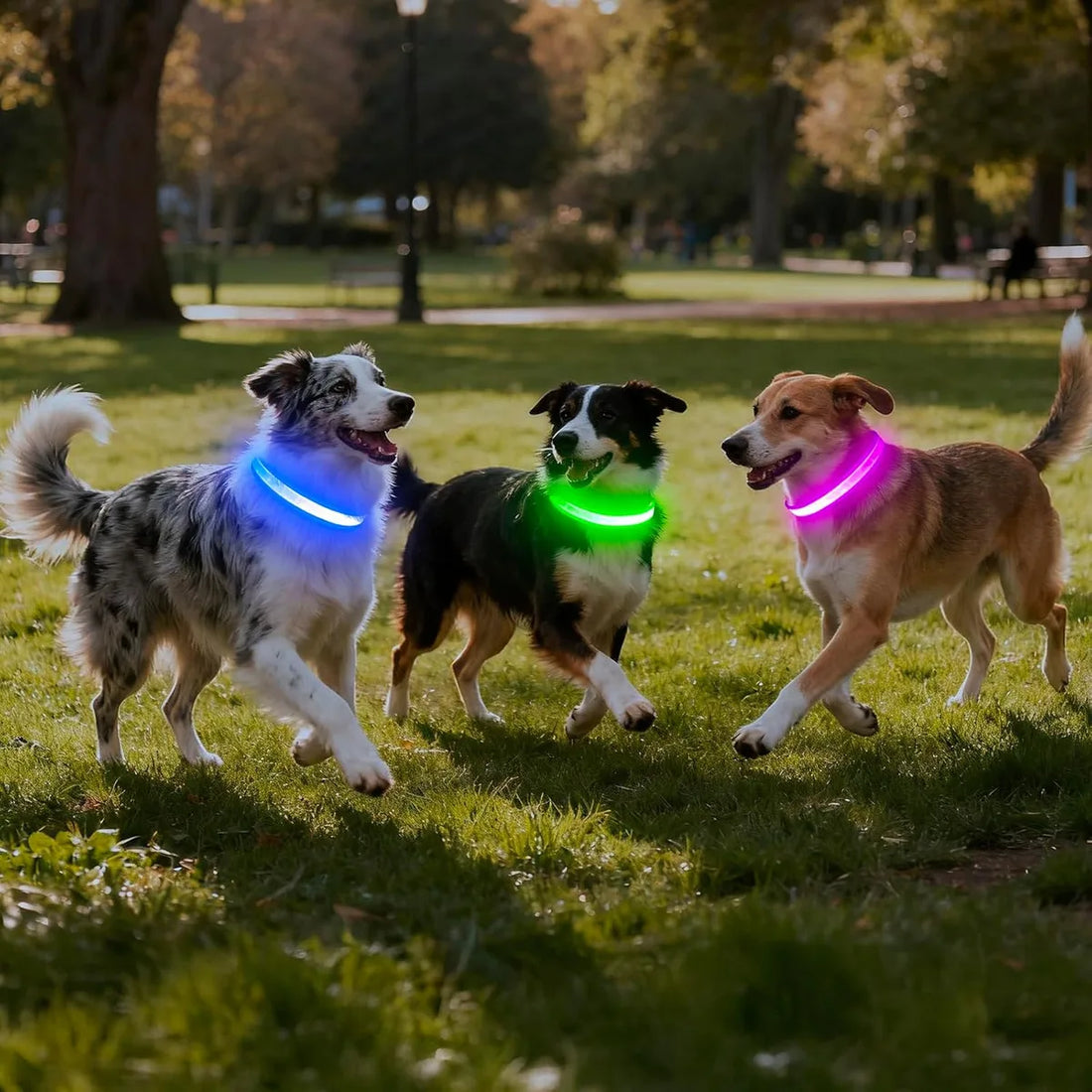 Adjustable Comfortable Soft Mesh Safety Collar Dogs, Colorful Lights for Nighttime