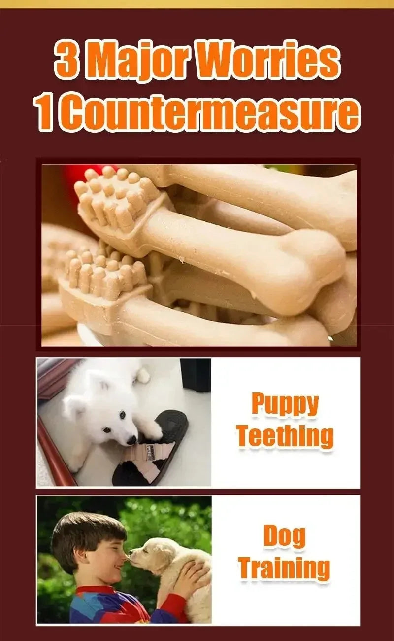 New Dog Bruxism Stick Toothbrush Bone Shape Fresh Natural Healthy Snacks
