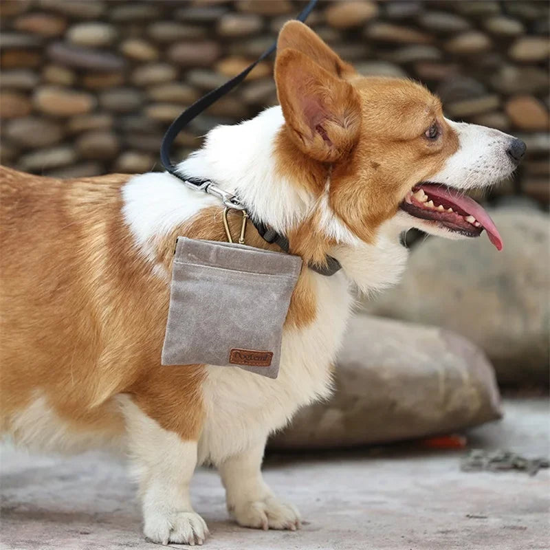 Walking Dog Snack Pocket with Carabiner Hands Free Pet Treat Bag Waist Pack