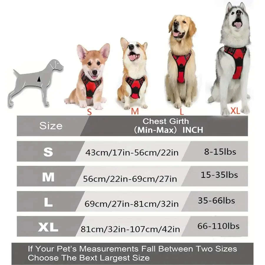 Dog Collars Harness Big Vests Leash Pet Shop Everything for Dogs Leather Puppy