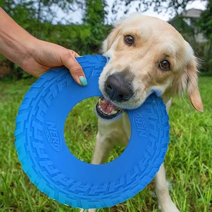 10-Inch Flying Disc Dog Toy, Rubber Fetch Toy for Medium and Large Dogs
