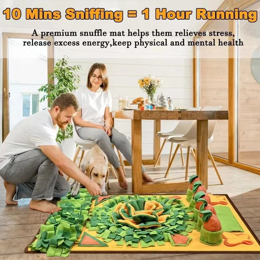 Pet Sniffing Mat Indoor Dog Walking Dog Cat Foraging Toy Dog Stress Relief Puzzle