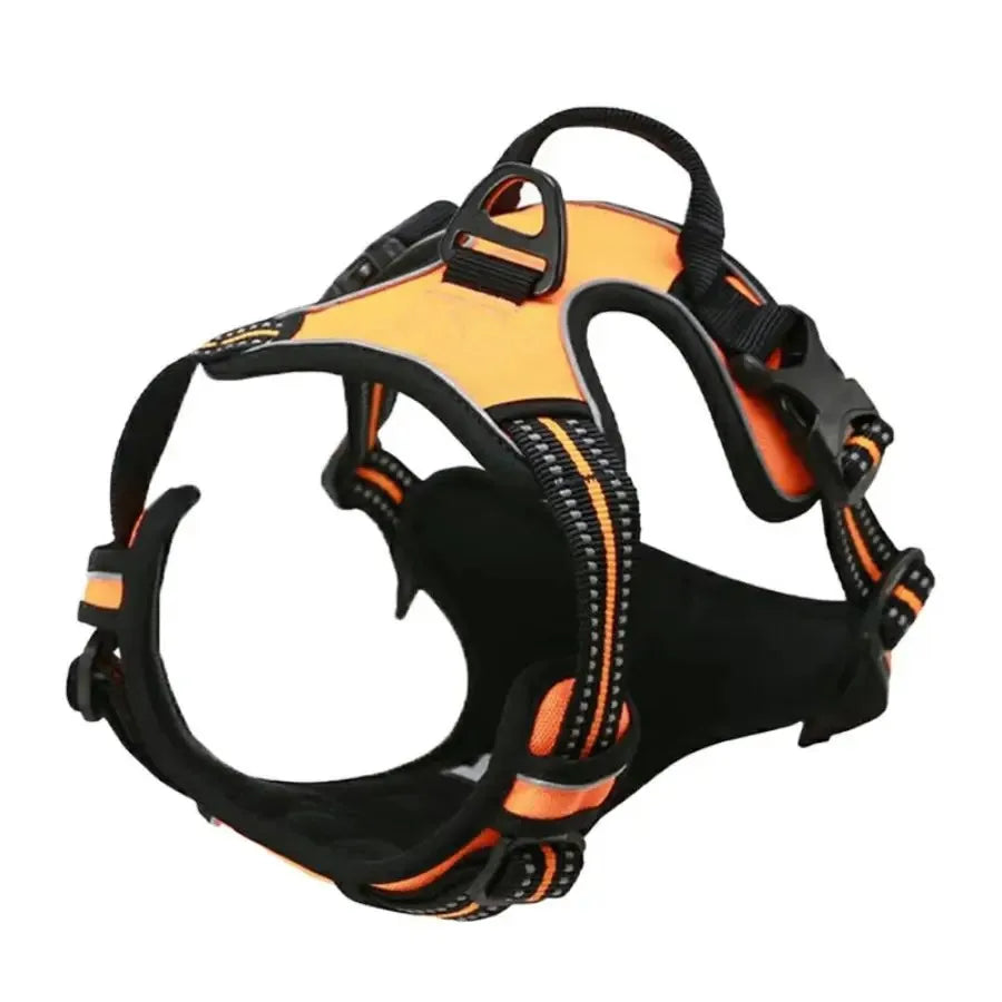 Dog Collars Harness Big Vests Leash Pet Shop Everything for Dogs Leather Puppy