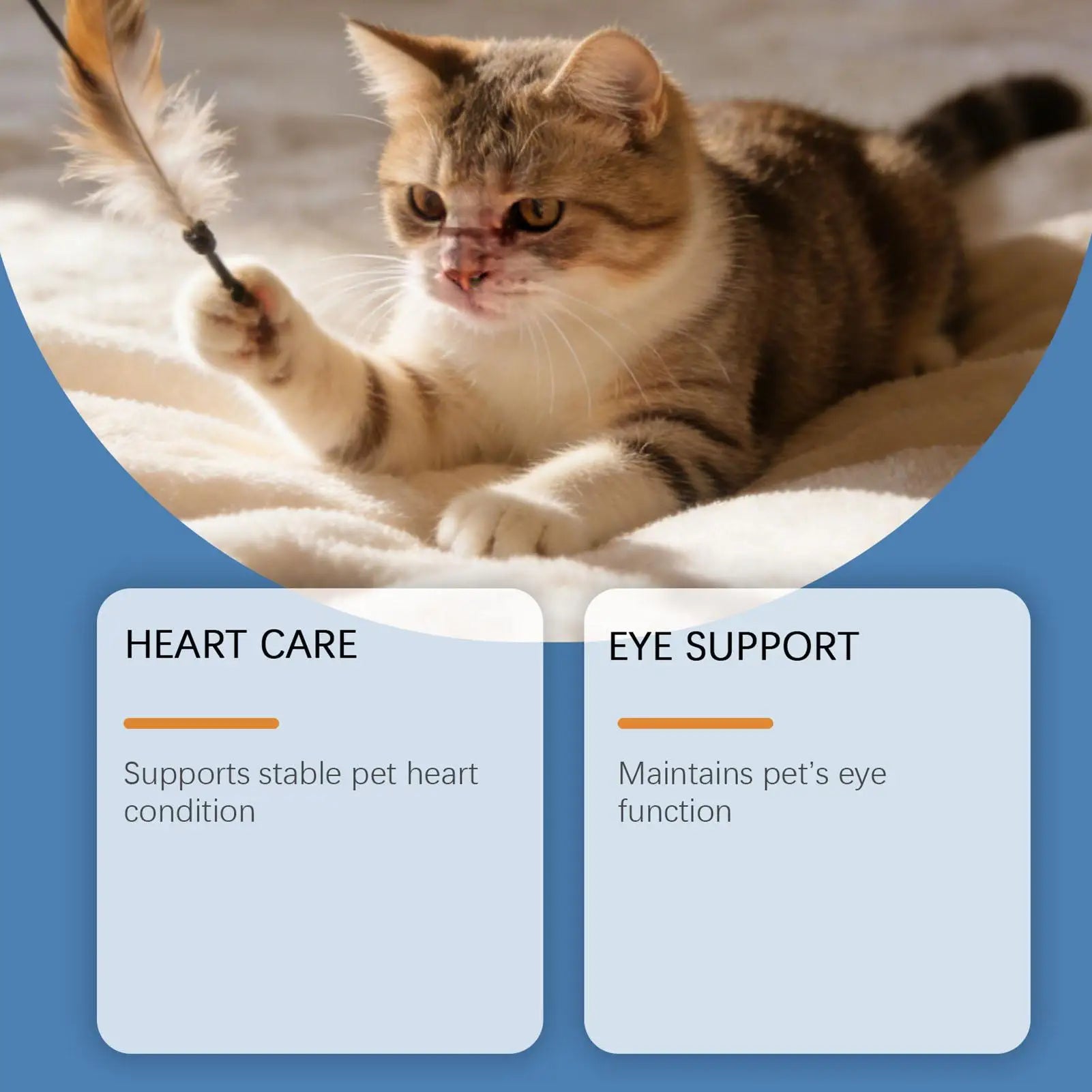 Pet Supplements 200g Daily Nutrition Cats Wet Or Dry Food Supplements