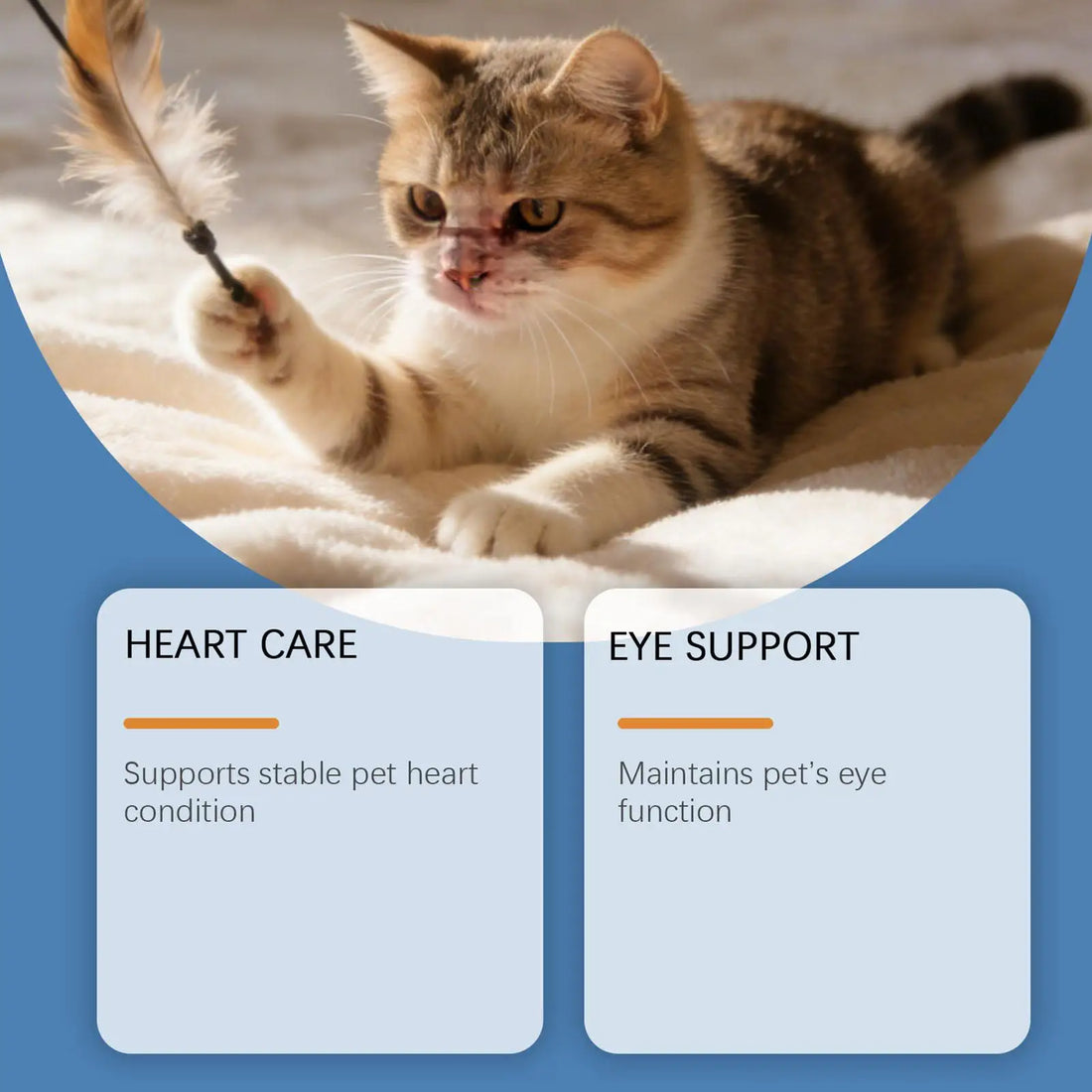 Pet Supplements 200g Daily Nutrition Cats Wet Or Dry Food Supplements