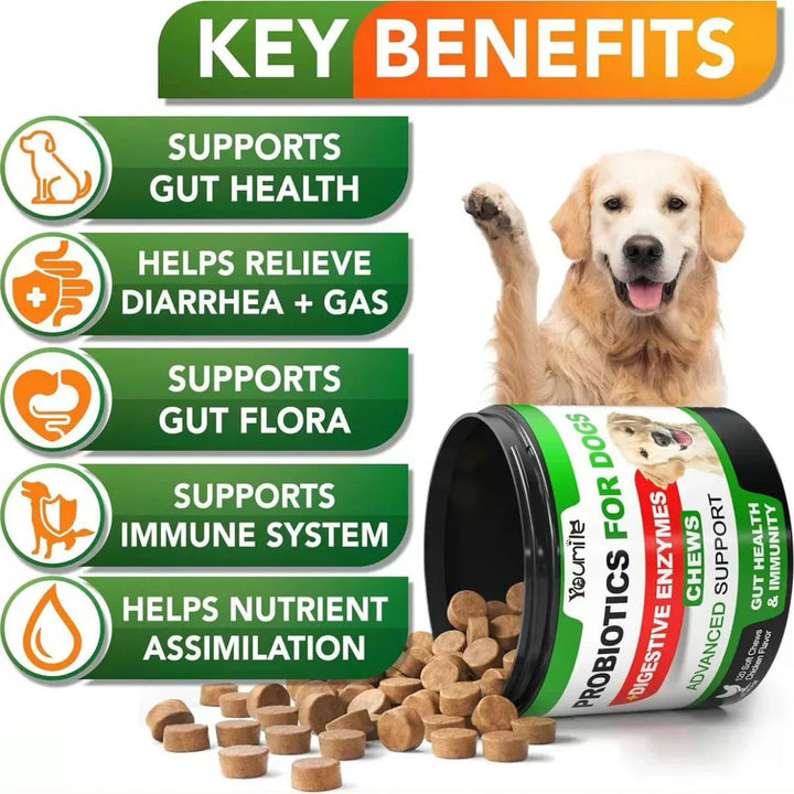 Probiotics for Dogs Relieve stomach sensitivity and dog gut health Chews