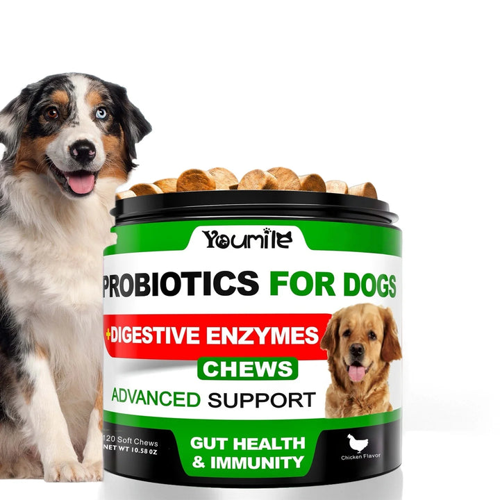 Probiotics for Dogs Relieve stomach sensitivity and dog gut health Chews