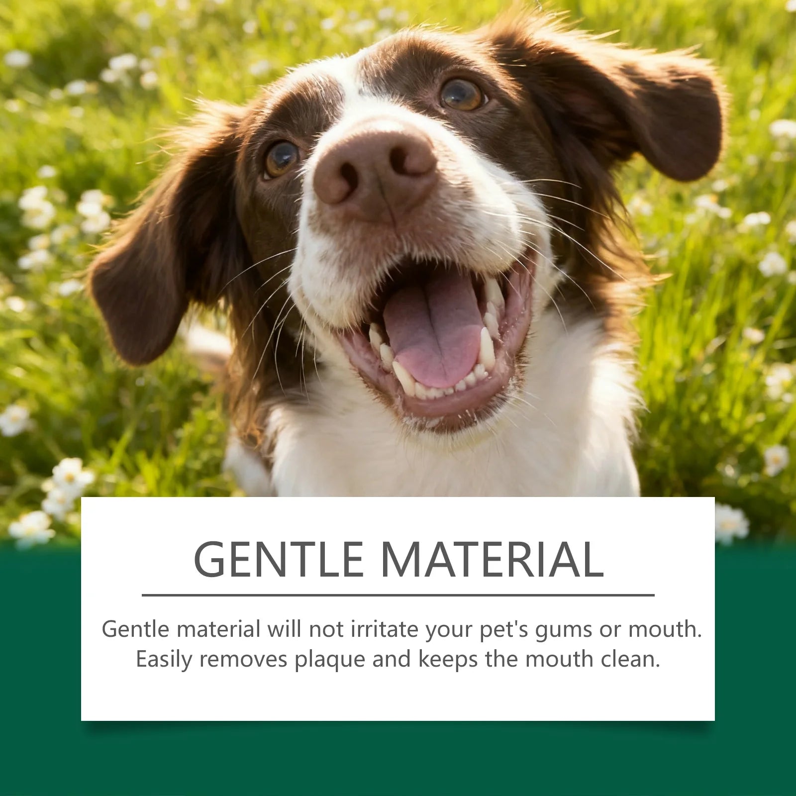 Pet Teeth Cleaning Wipes Cleans Food Residues in Teeth Gaps Eliminates Bad