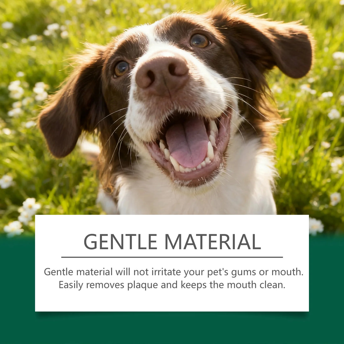 Pet Teeth Cleaning Wipes Cleans Food Residues in Teeth Gaps Eliminates Bad