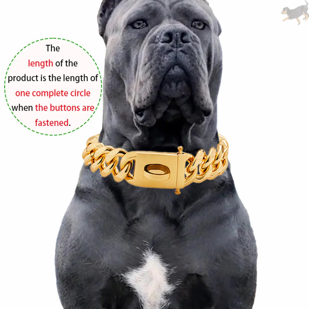 Gold Dog Collar Stainless Steel Metal Pet Choker Silver 19mm Wide Lead for Dogs