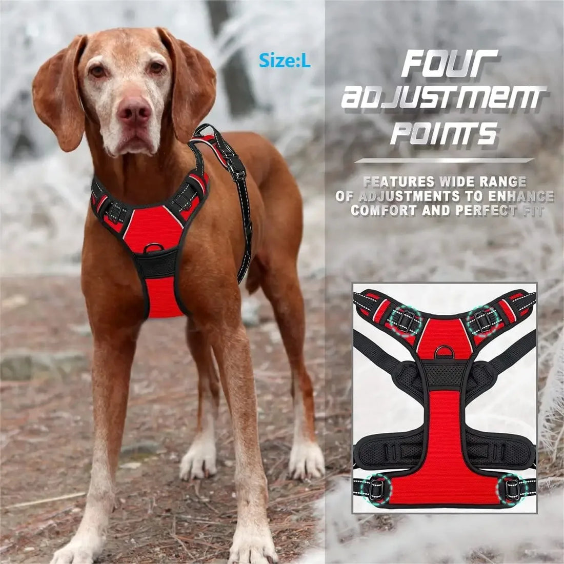 Dog Collars Harness Big Vests Leash Pet Shop Everything for Dogs Leather Puppy