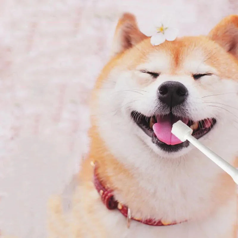 Tooth Brush For Pet Dog Cat Plastic Healthy Toothbrush Mouth Cleaning Pet