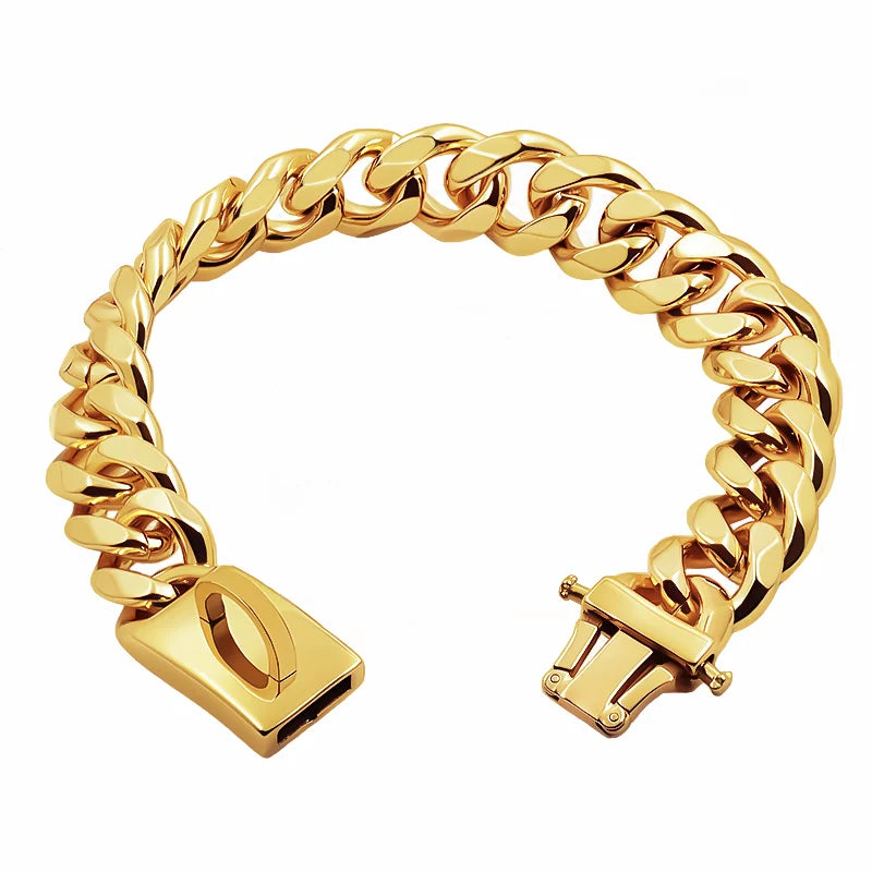 Gold Dog Collar Stainless Steel Metal Pet Choker Silver 19mm Wide Lead for Dogs