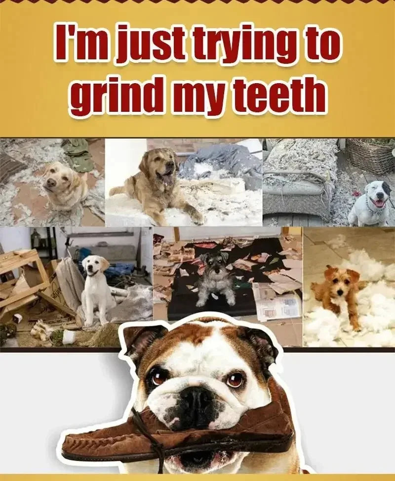 New Dog Bruxism Stick Toothbrush Bone Shape Fresh Natural Healthy Snacks
